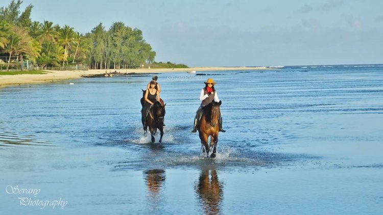 Buitenrit: Strandrit Riambel - Mauritius - Afbeelding 7