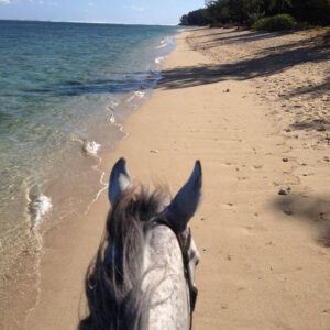 Buitenrit: Strandrit Riambel - Mauritius - Afbeelding 8