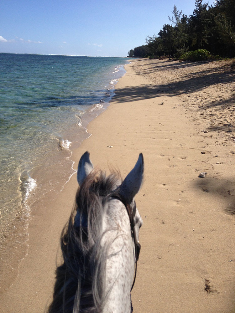Buitenrit: Strandrit Riambel - Mauritius - Afbeelding 8