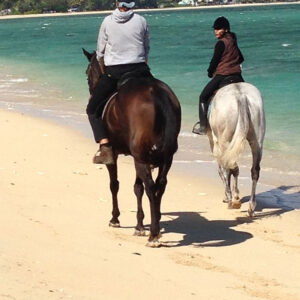 Buitenrit: Strandrit Riambel - Mauritius - Afbeelding 10