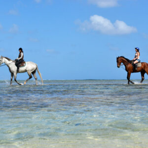 Buitenrit: Strandrit Riambel - Mauritius - Afbeelding 11