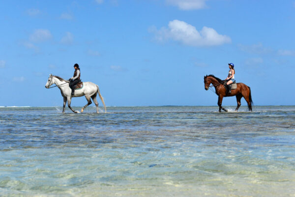 Buitenrit: Strandrit Riambel - Mauritius