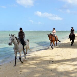 Buitenrit: Strand- en natuurrit Riambel - Mauritius - Afbeelding 1