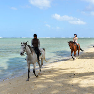 Buitenrit: Strandrit Riambel - Mauritius - Afbeelding 12