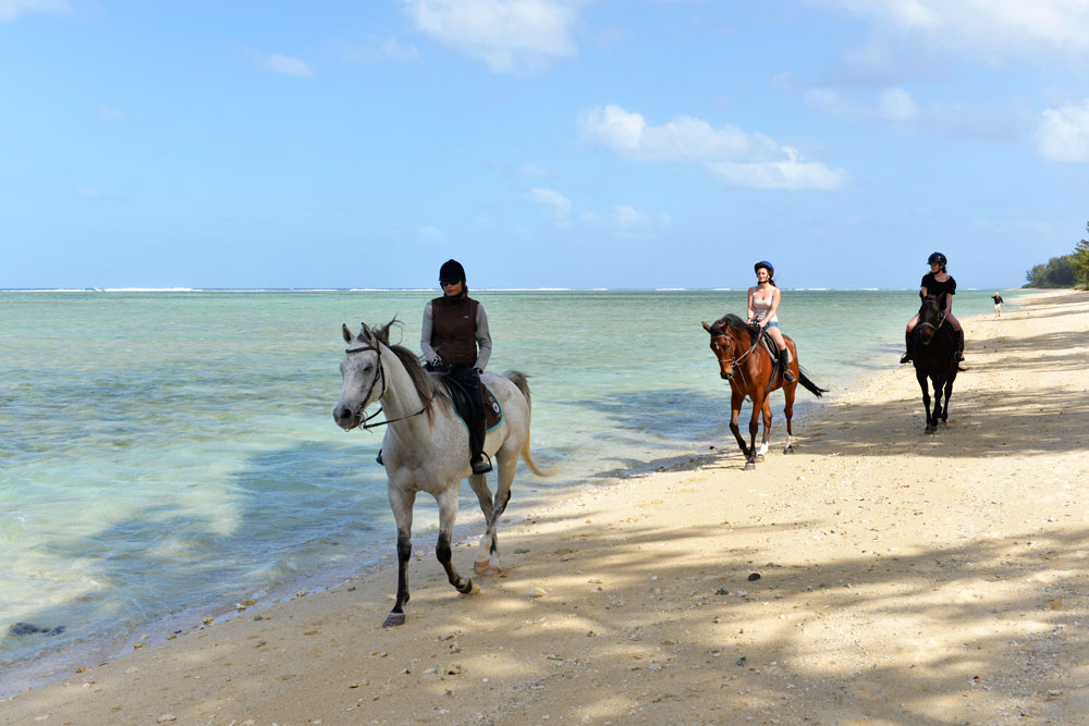 Buitenrit: Strandrit Riambel - Mauritius - Afbeelding 12