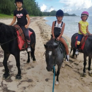 Buitenrit: Strandrit Riambel - Mauritius - Afbeelding 13