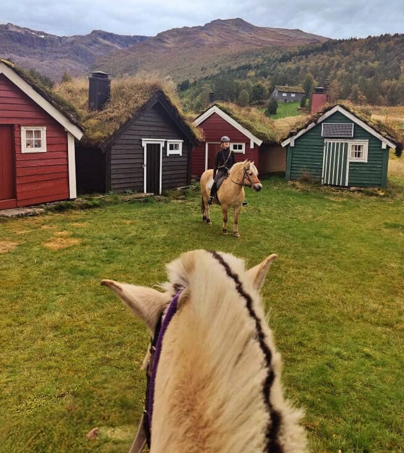 3-daagse Fjord Ride Weekend – Westkust - Noorwegen - Afbeelding 3
