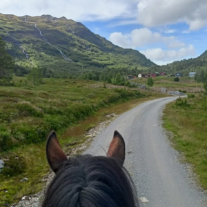 3-daagse Fjord Ride Weekend – Westkust - Noorwegen - Afbeelding 2