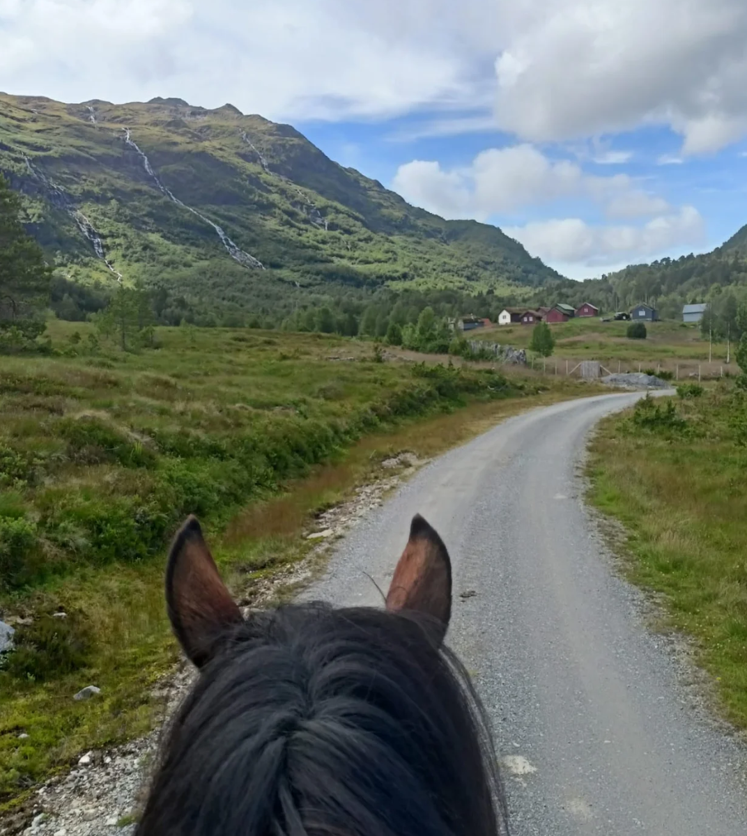 3-daagse Fjord Ride Weekend – Westkust - Noorwegen - Afbeelding 2