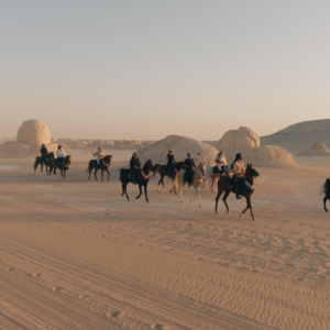 5-daagse Paardrijtocht Caïro – Bahariya – Zwarte & Witte Woestijn- Egypte - Afbeelding 7