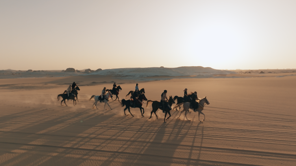 5-daagse Paardrijtocht Caïro – Bahariya – Zwarte & Witte Woestijn- Egypte