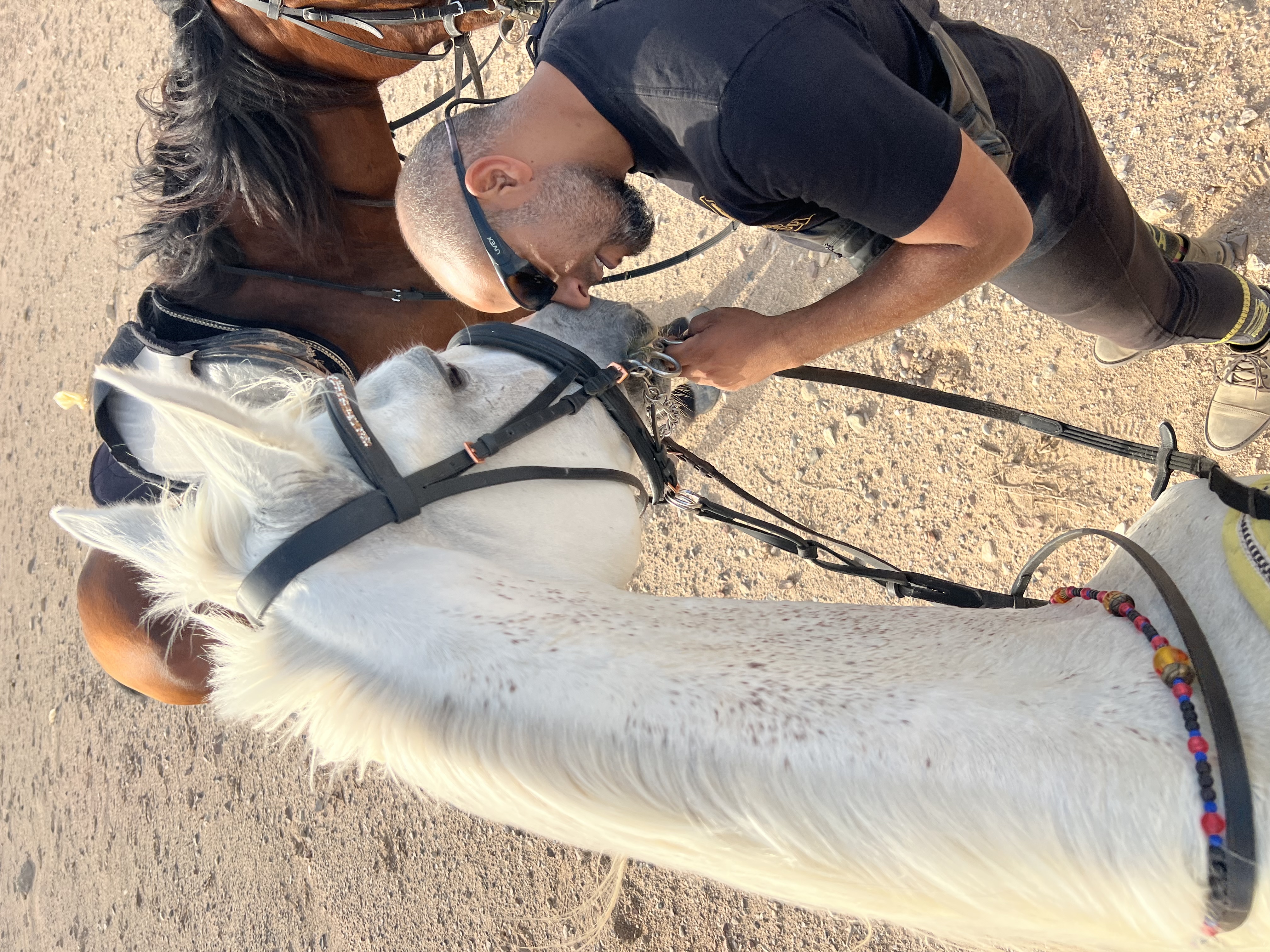 8-daagse Paardrijtocht Palmen, Piramides en Farao’s Luxor - Rode Zee - Caïro Egypte - Afbeelding 19