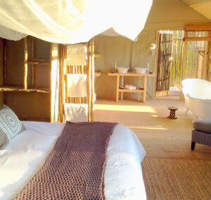 3-daagse Paardensafari Hwange - Zimbabwe - Afbeelding 17