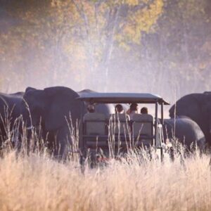 Buitenritten Afrikaanse bush Hwange - Zimbabwe - Afbeelding 21