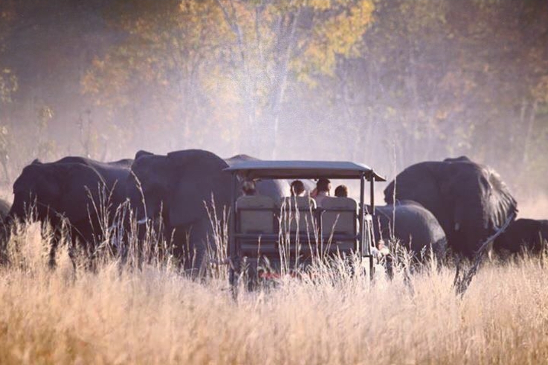 Buitenritten Afrikaanse bush Hwange - Zimbabwe