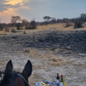 5-daagse Paardensafari Hwange - Zimbabwe - Afbeelding 26