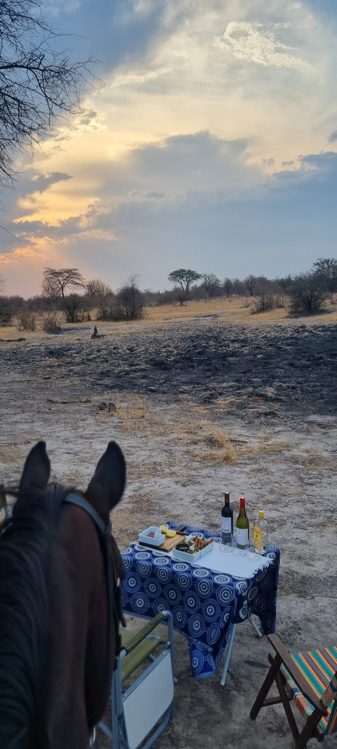 5-daagse Paardensafari Hwange - Zimbabwe