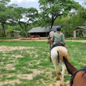 Buitenritten Afrikaanse bush Hwange - Zimbabwe - Afbeelding 7