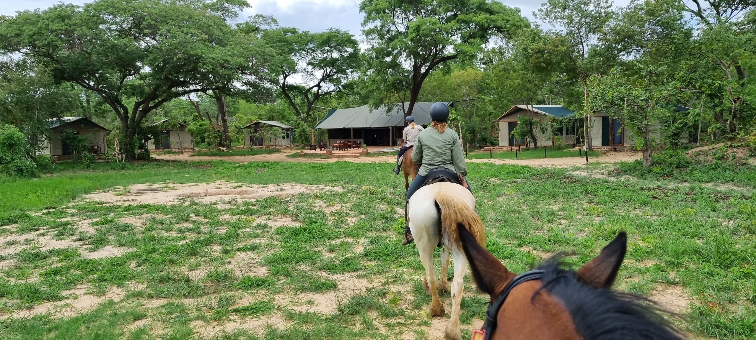 Buitenritten Afrikaanse bush Hwange - Zimbabwe - Afbeelding 7