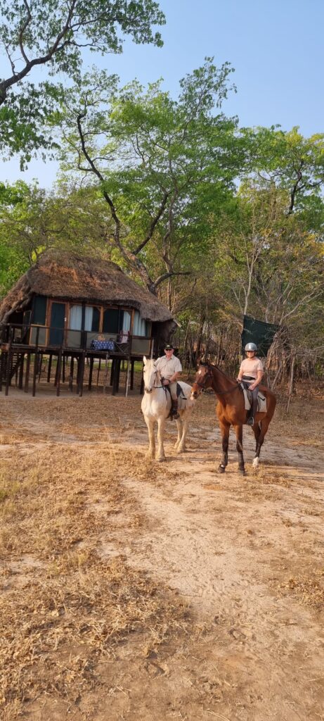Buitenritten Afrikaanse bush Hwange - Zimbabwe