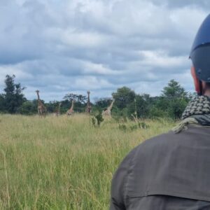 Buitenritten Afrikaanse bush Hwange - Zimbabwe - Afbeelding 17