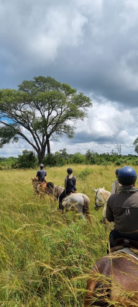 Buitenritten Afrikaanse bush Hwange - Zimbabwe