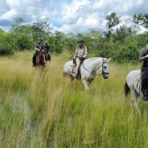 Buitenritten Afrikaanse bush Hwange - Zimbabwe - Afbeelding 9
