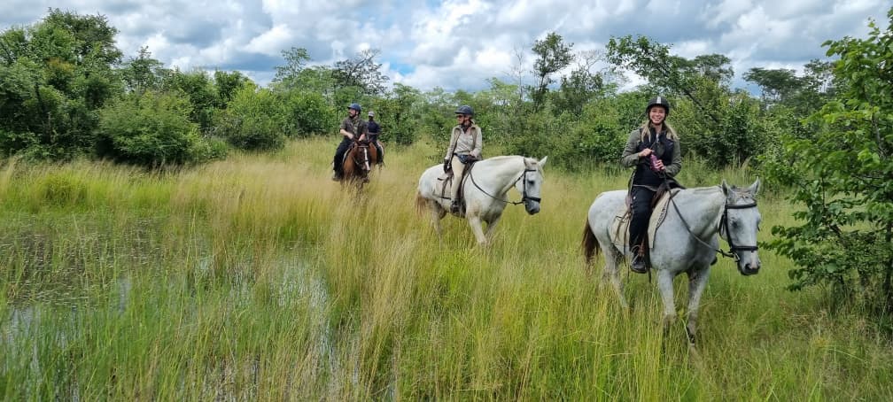 Buitenritten Afrikaanse bush Hwange - Zimbabwe - Afbeelding 9