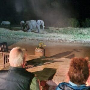 5-daagse Paardensafari Hwange - Zimbabwe - Afbeelding 13