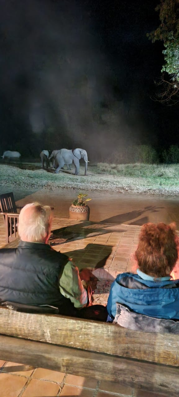 5-daagse Paardensafari Hwange - Zimbabwe