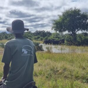Buitenritten Afrikaanse bush Hwange - Zimbabwe - Afbeelding 13