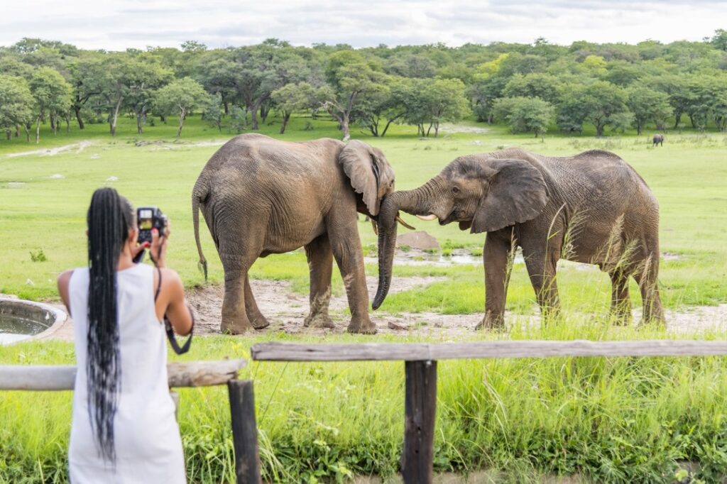 3-daagse Paardensafari Hwange - Zimbabwe