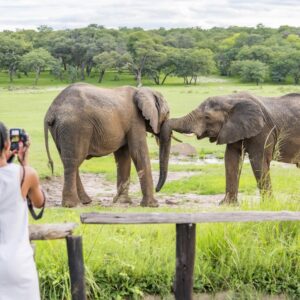 3-daagse Paardensafari Hwange - Zimbabwe - Afbeelding 55