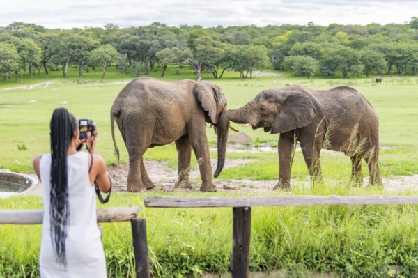 3-daagse Paardensafari Hwange - Zimbabwe