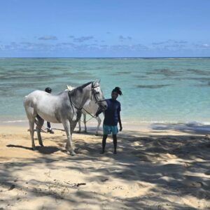 Buitenrit: Strandrit Riambel - Mauritius - Afbeelding 2