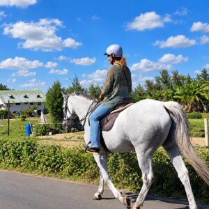 Buitenrit: Strand- en natuurrit Riambel - Mauritius - Afbeelding 2