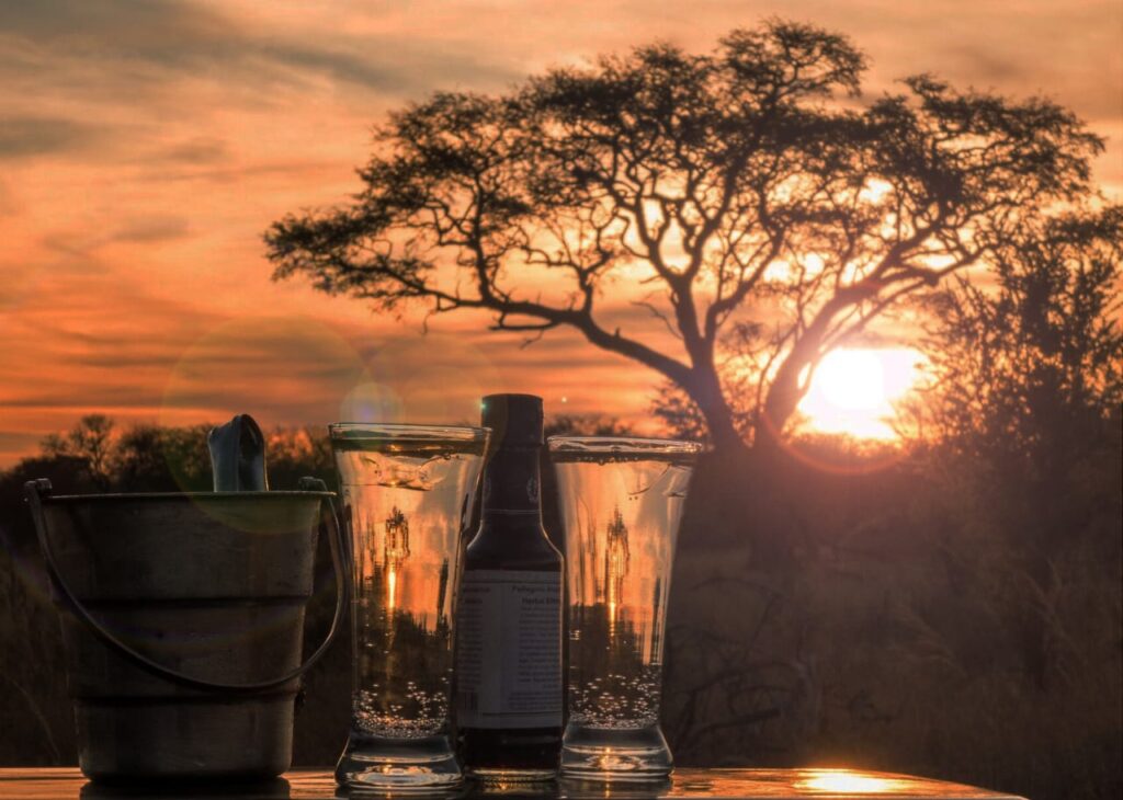 3-daagse Paardensafari Hwange - Zimbabwe