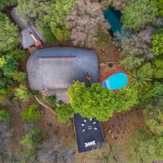 5-daagse Paardensafari aan de rand van Bulawayo - Zimbabwe - Afbeelding 7