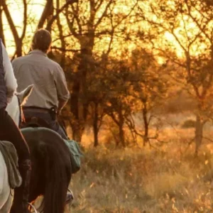 5-daagse Paardensafari aan de rand van Bulawayo - Zimbabwe - Afbeelding 4