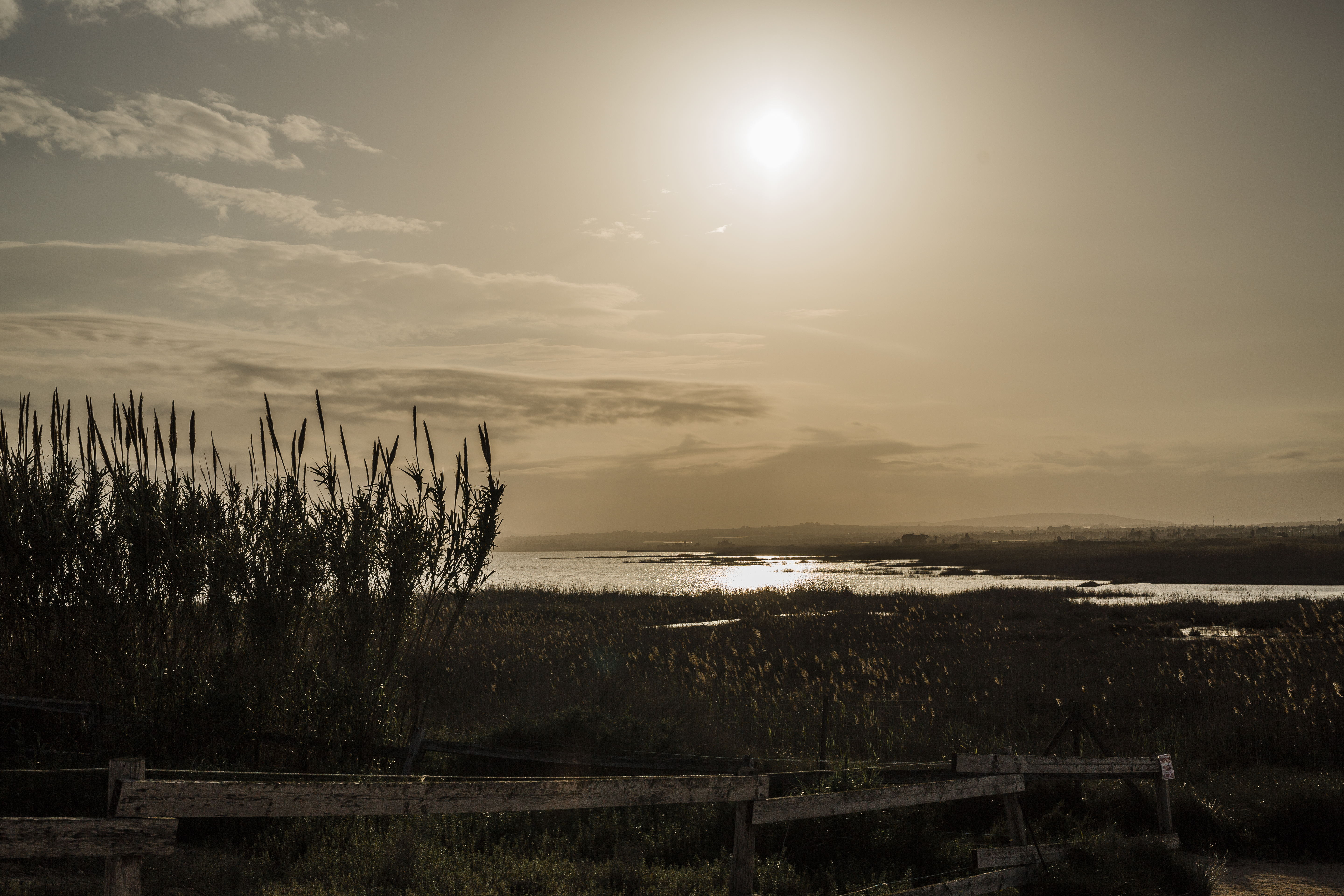 8-daagse paardrijvakantie: dagtochten natuurreservaat La Mata Valencia - Spanje - Afbeelding 21