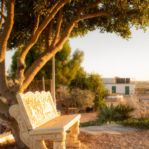 8-daagse paardrijvakantie: Lessen & Tochten Valencia - Spanje - Afbeelding 17