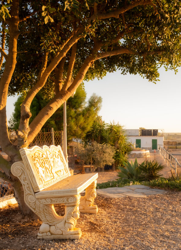 8-daagse paardrijvakantie: Lessen & Tochten Valencia - Spanje