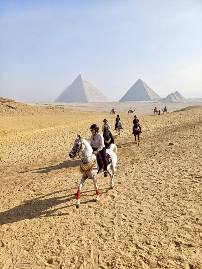 8-daagse Paardrijtocht Palmen, Piramides en Farao’s Luxor - Rode Zee - Caïro Egypte