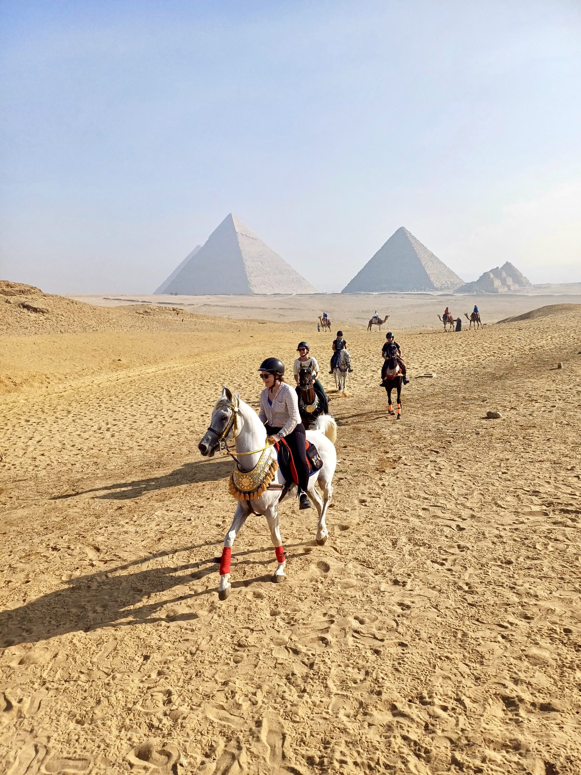 8-daagse Paardrijtocht Palmen, Piramides en Farao’s Luxor - Rode Zee - Caïro Egypte - Afbeelding 7