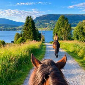 3-daagse Fjord Ride Weekend – Westkust - Noorwegen - Afbeelding 8