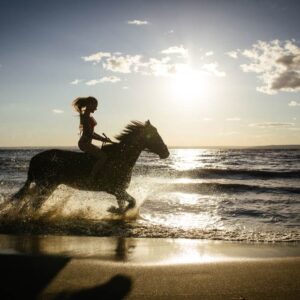 Privérit strand en zwemmen met paarden Rode Zee, Hurghada - Egypte - Afbeelding 2