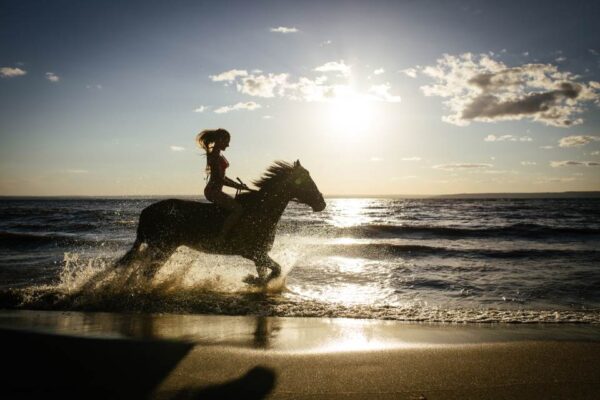 Privérit strand en zwemmen met paarden Rode Zee, Hurghada - Egypte