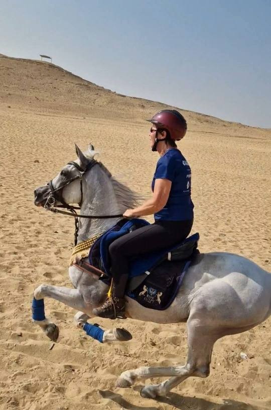 Privérit Caïro Gizeh piramides - Egypte