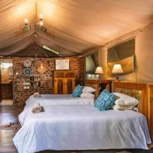 5-daagse Paardensafari aan de rand van Bulawayo - Zimbabwe - Afbeelding 12