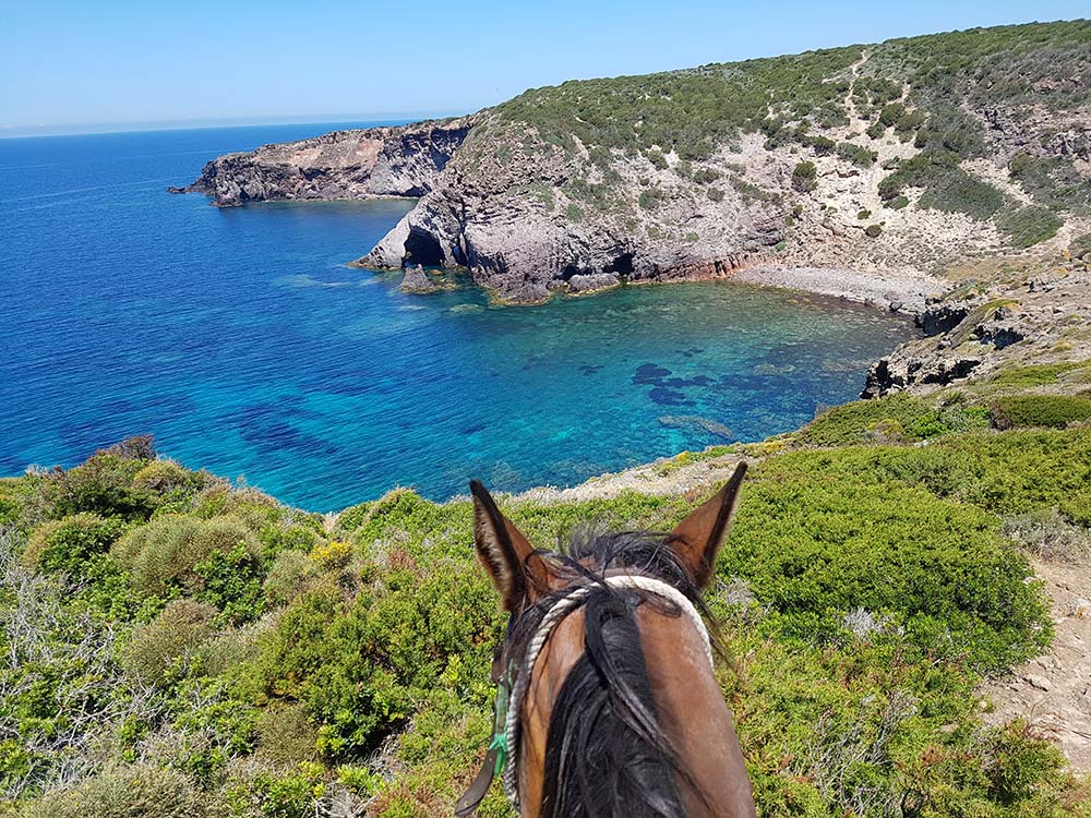 6-daagse paardrijtocht (8 dagen vakantie) 